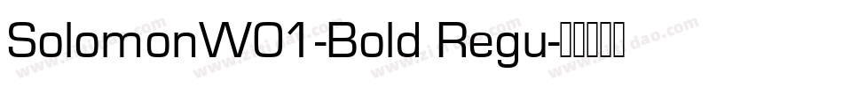 SolomonW01-Bold Regu字体转换